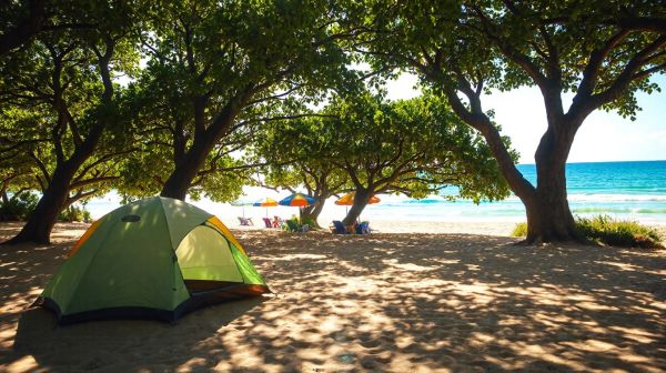 Séjournez inoubliablement en camping sur l'île d'Oléron