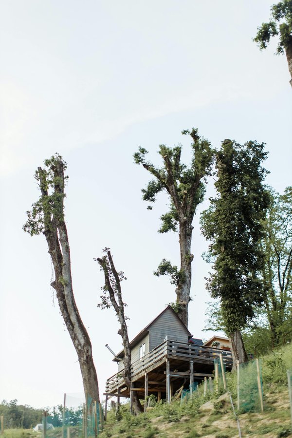 Les meilleures raisons de passer une nuit romantique en cabane dans les arbres